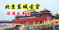 大黑鸡巴捅逼视频中国北京-东城古宫旅游风景区
